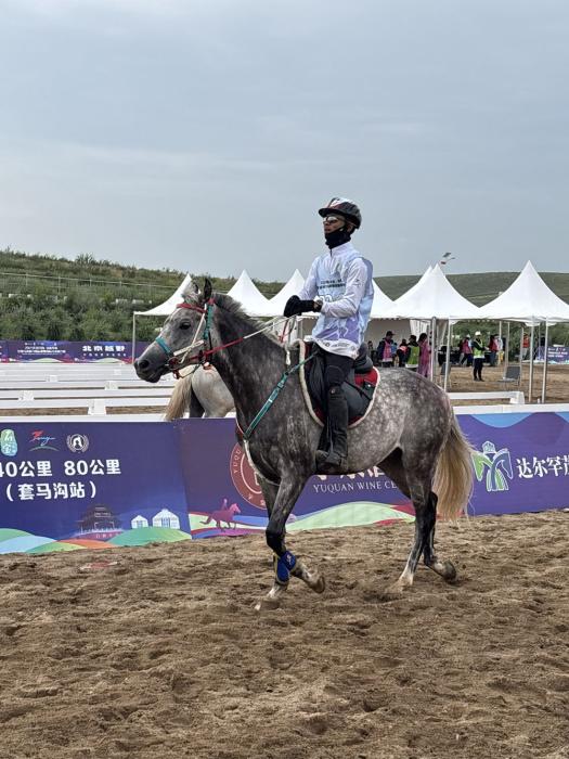 全国马术耐力锦标赛在内蒙古包头套马沟景区拉
