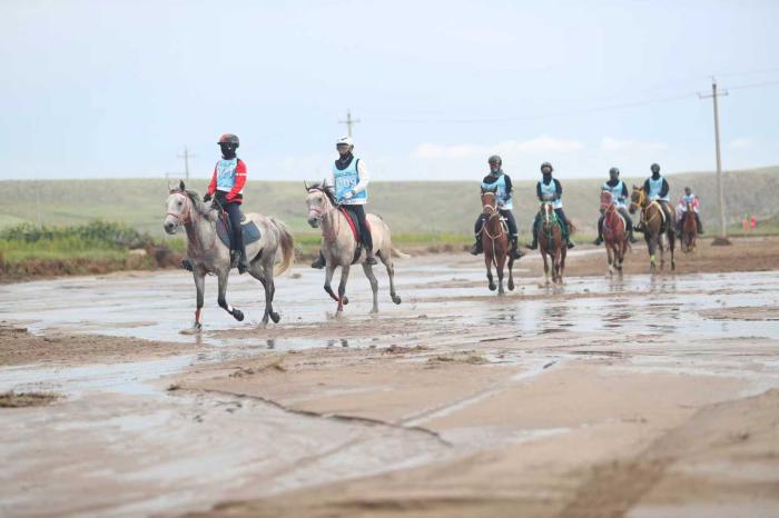 全国马术耐力锦标赛在内蒙古包头套马沟景区拉
